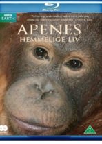 The-secret-life-of-primates